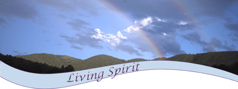 Living Spirit, Focus on the Air Not the Water, Habits for Living a Spiritual life, Spiritualizing your day to day life, Articles on spiritual growth