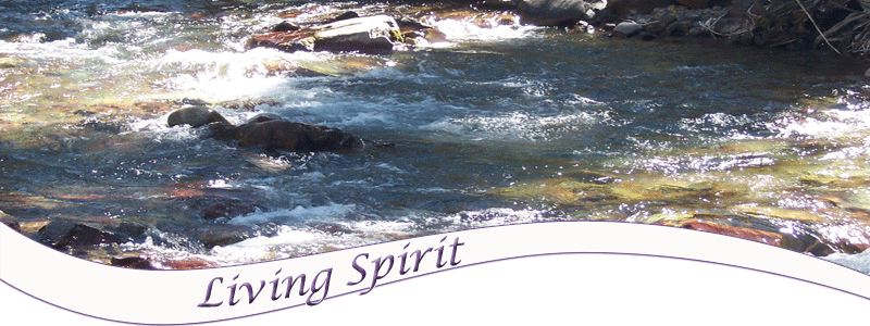 Living Spirit, Spiritual Mentors for Living by Spirit, Jef Bartow, Tanya Bartow, Spiritual Growth mentors